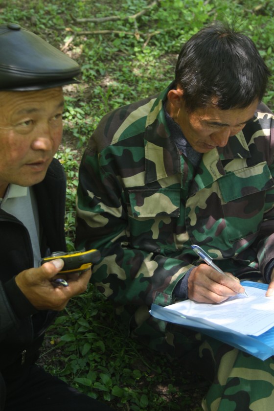 Rangers of Sary-Chelek Reserve practice GPS work as part of new GTC supported threatened tree monitoring in the reserve