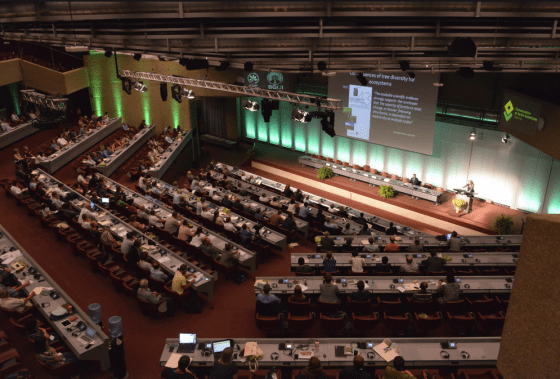 Packed audience for Jeannine Cavender-Bares plenary talk on trees. Credit: Mélanie Zogheb/ Conservatoire et Jardin botaniques de la Ville de Genève