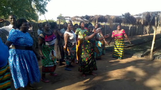 Nhulambe Mulanje Cedar nursery group