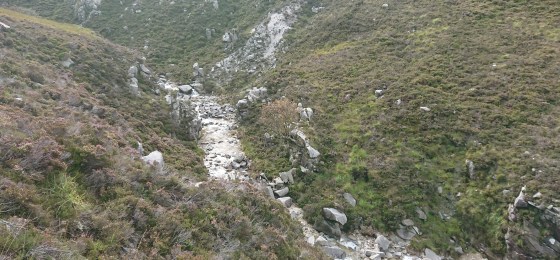 Habitat of the Aran whitebeams