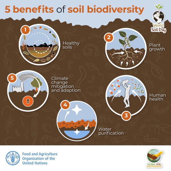 5 benefits of soil biodiversity