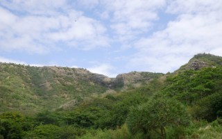 Marouk garden landscape