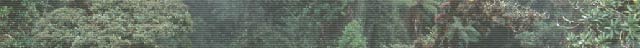 banner picture