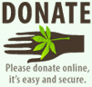 Make a donation today