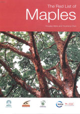 The Red List of Maples