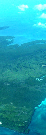 Pemba island, Tanzania. Photo: FFI.