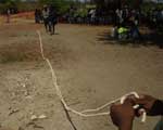 Making rope from baobab bark.  Photo: D. Andriafidison