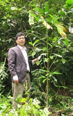 Prof. Weibang Sun from Kunming Botanic Garden, the GTC’s project partner in China, with a Magnolia sinica sapling planted by the project in Xiaoqiaogou National Nature Reserve. Photo: Georgina Magin / FFI