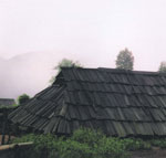 Hmong house roof made from Fokienia shingles. Photo: FFI.