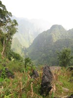 The steep terrain at Bat Dai Son Nature Reserve makes working there arduous. Photo: Georgina Magin / FFI 