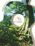 The SoundWood guide to the guitar
