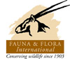 FFI web logo