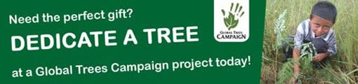 Dedicate a tree gift scheme.  Plant a tree at a global trees campaign project today