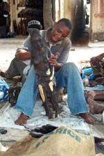 African blackwood, also known as mpingo - Picture FFI