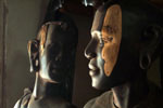 African blackwood, also known as mpingo - Picture FFI