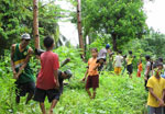 Philippine Teak planting. Photo: FFI