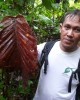Plahlar leaf - Credit Dave Gill