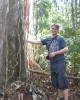 Mature bornean