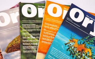 Journal articles