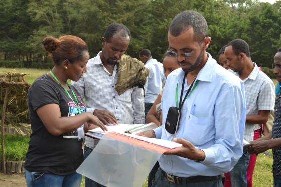 Workshop participants learning how to record results of propagation trials in the nursery at Wondo Genet College 