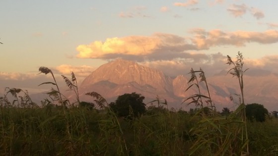 Mulanje Mountain