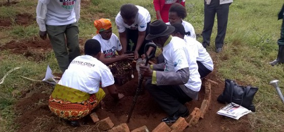 Mulanje Cedar project launch