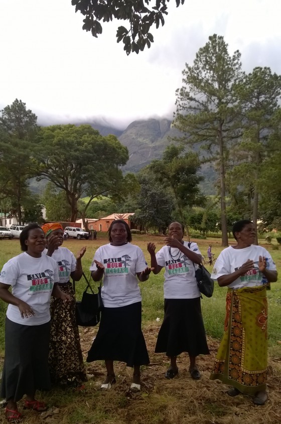 Mulanje Cedar launch singers