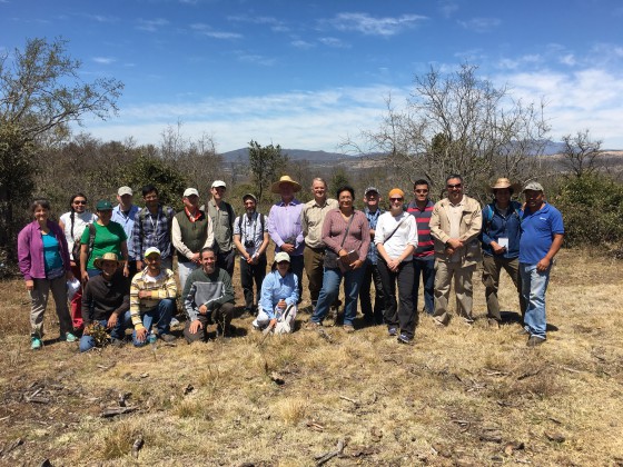 2016-03-13 Mexico Oak Workshop 046